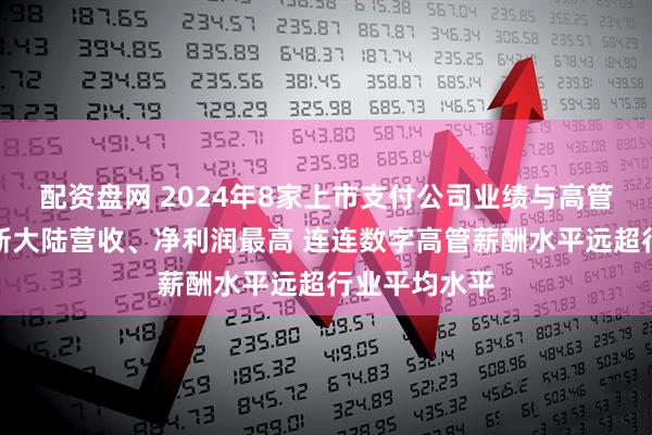 配资盘网 2024年8家上市支付公司业绩与高管薪资透视：新大陆营收、净利润最高 连连数字高管薪酬水平远超行业平均水平