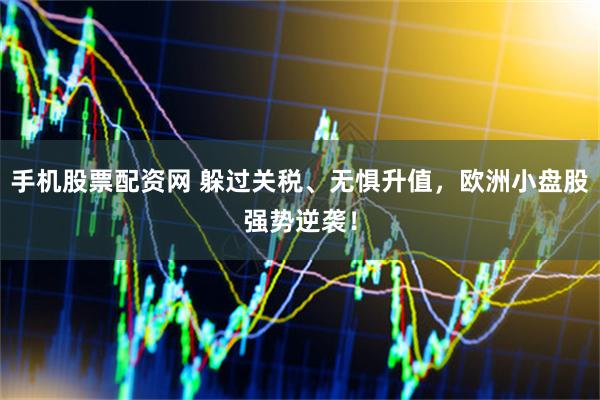 手机股票配资网 躲过关税、无惧升值，欧洲小盘股强势逆袭！